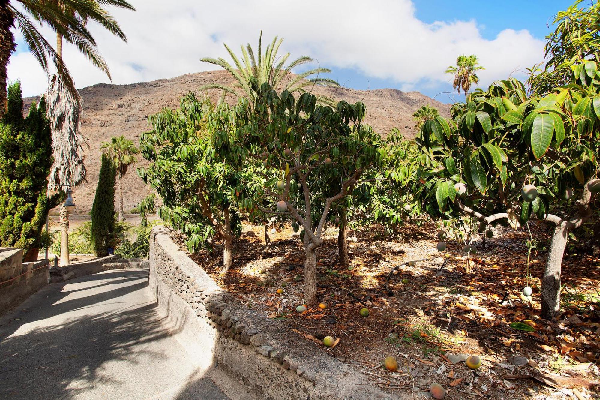 Paraiso Del Molinero Bajo Mogán Exterior photo